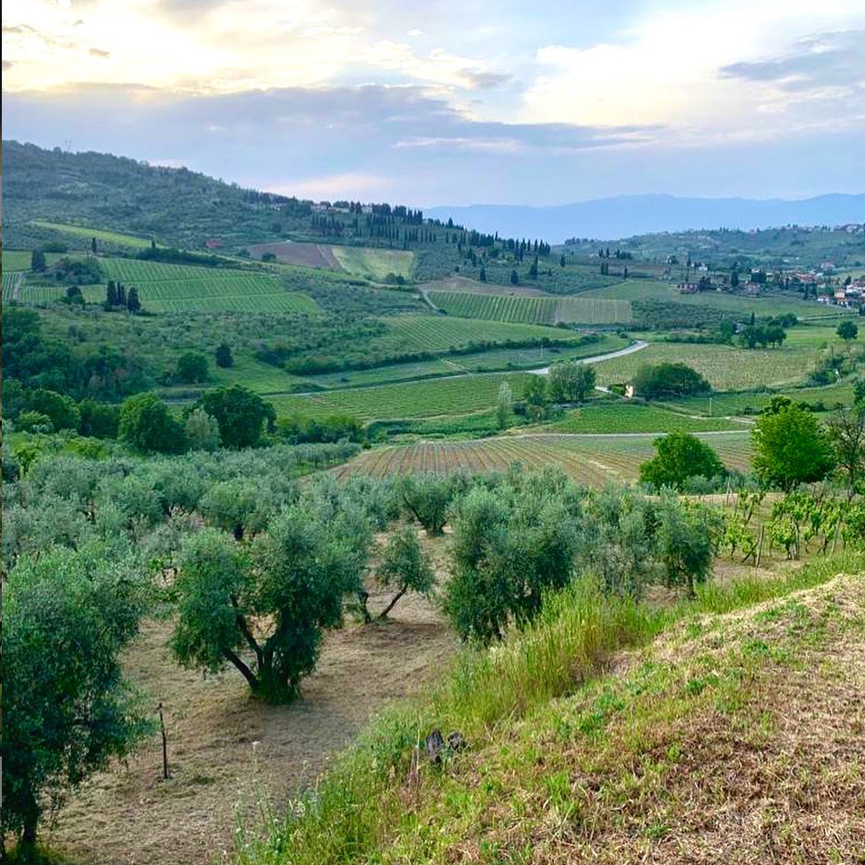 Pieve dei Medici di Edoardo Pratesi