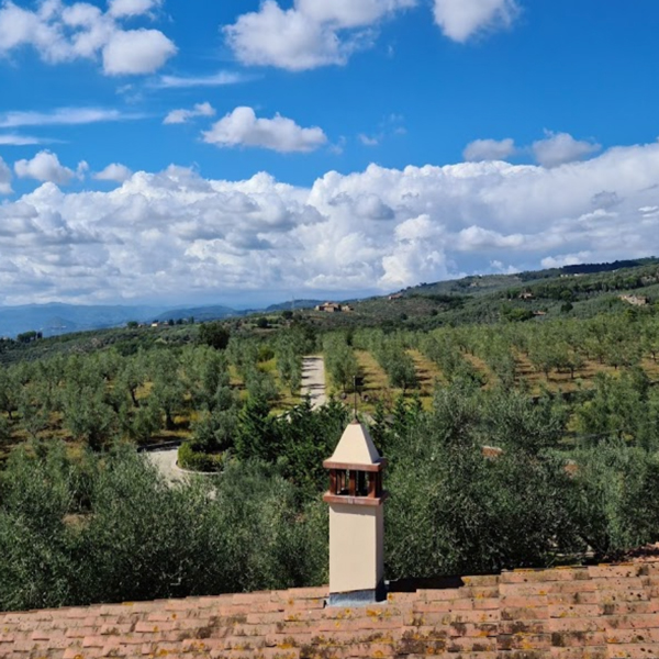 Tenuta di Campagliana di Batisti Maila