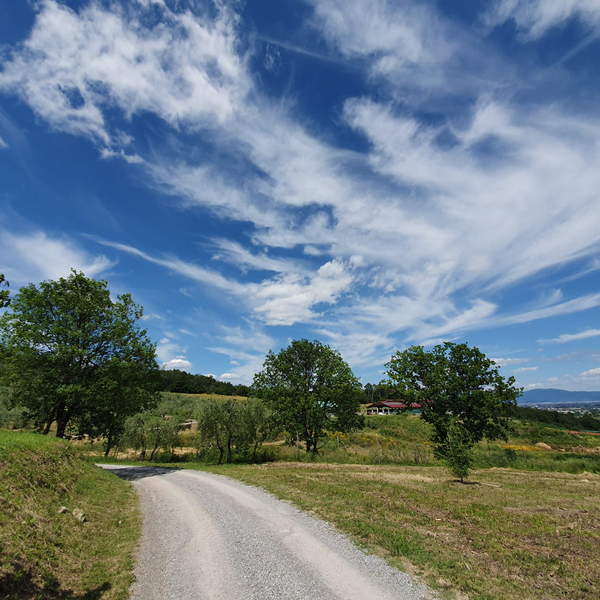 fattoria il cassero di Serravalle